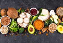 Plant-Based Diet