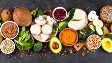 Plant-Based Diet